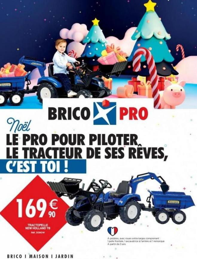 Noël  . Brico Pro (2019-12-28-2019-12-28)