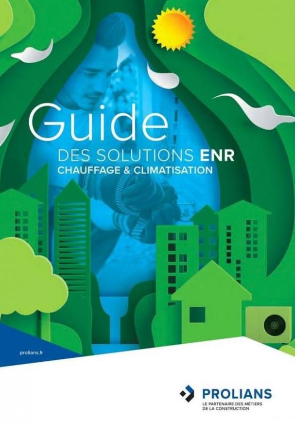 Guide des solutions ENR  . Prolians (2019-12-31-2019-12-31)