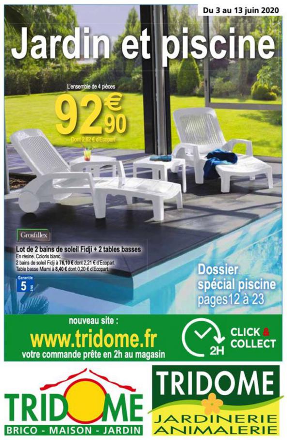 Jardin et piscine . Tridôme (2020-06-13-2020-06-13)