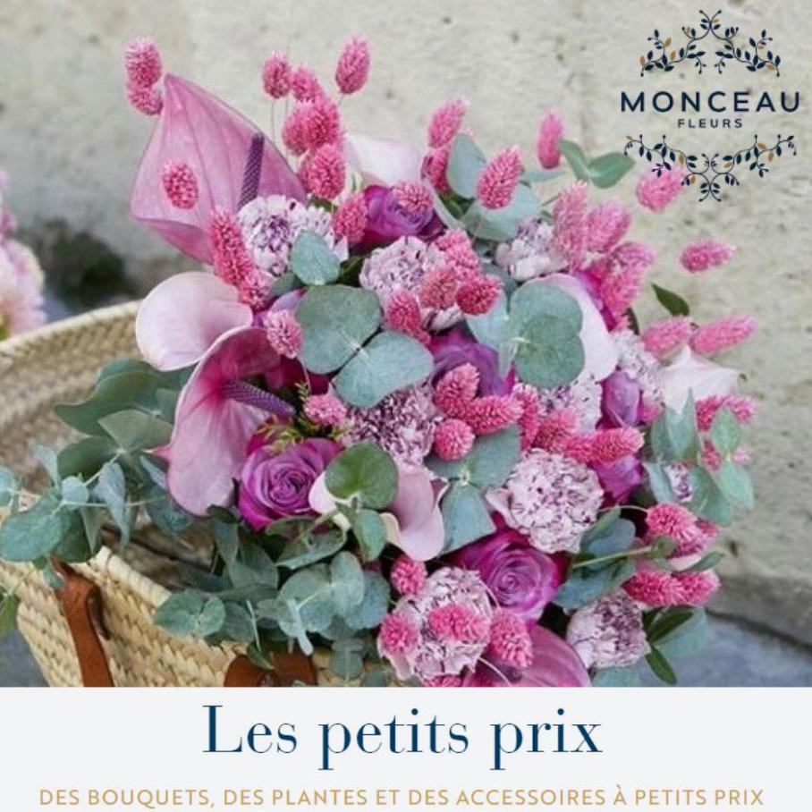 Monceau Fleurs Les Petit Prix. Monceau Fleurs (2021-08-31-2021-08-31)