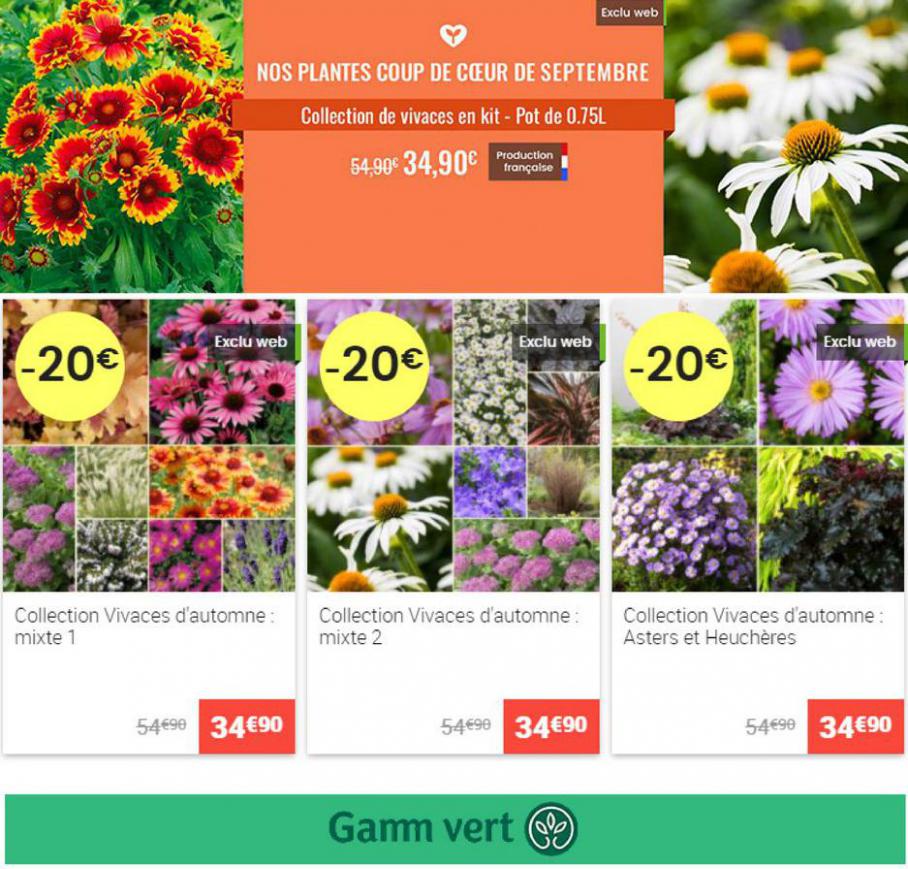 Promotions plantes. Gamm vert (2021-09-16-2021-09-16)