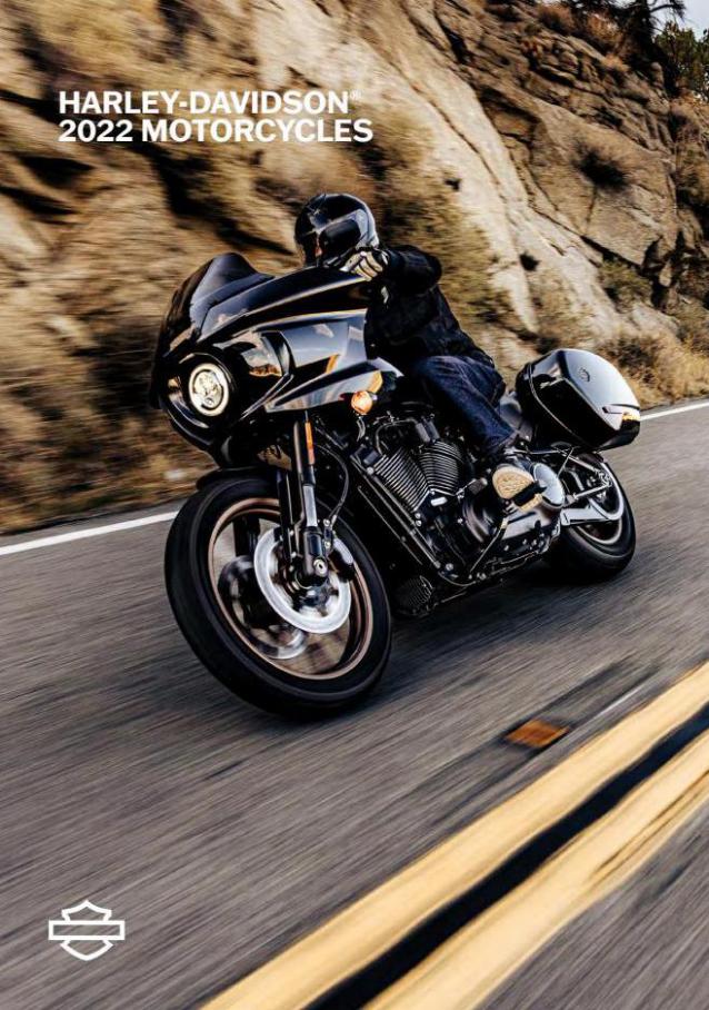 HARLEY-DAVIDSON 2022 Motorcycles. Harley-Davidson (2022-12-31-2022-12-31)