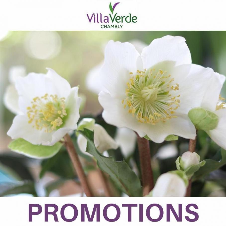 Promotions. VillaVerde (2022-04-07-2022-04-07)