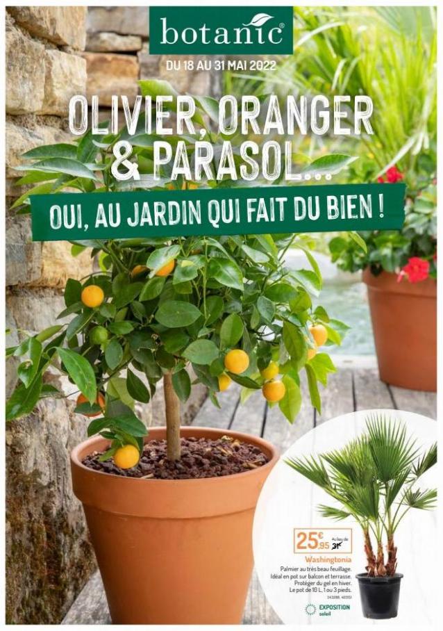 Olivier, Oranger & Parasol. Botanic (2022-05-31-2022-05-31)