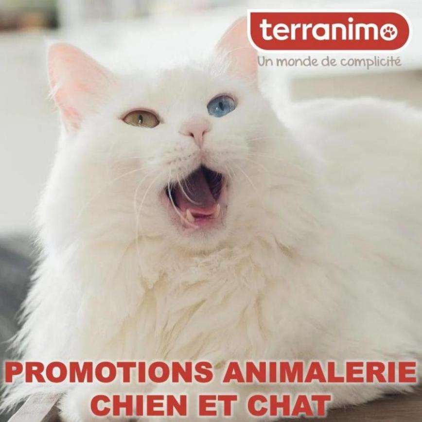 Promotions Animalerie chien et chat. Terranimo (2022-06-27-2022-06-27)