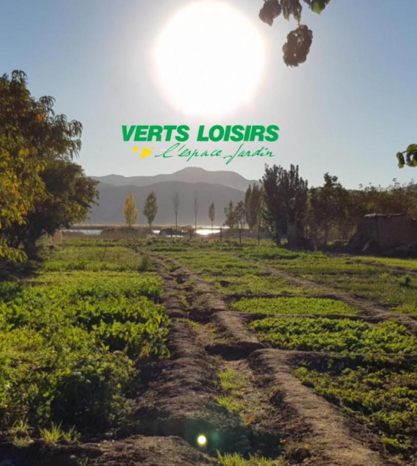 NOUVEAUTÉ. Verts Loisirs (2022-10-11-2022-10-11)