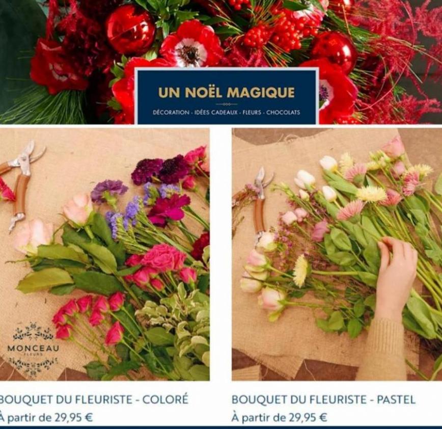 NOUVEAUTÉ Collection Noel. Monceau Fleurs (2023-01-09-2023-01-09)