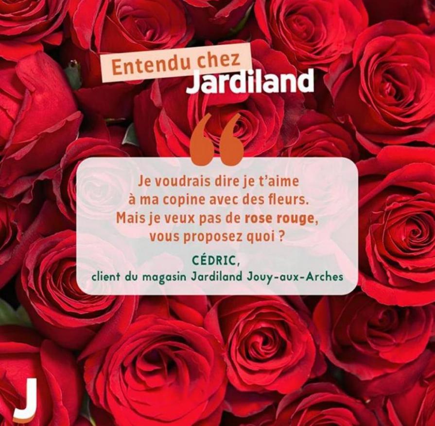 Offres Speciales. Jardiland (2023-02-20-2023-02-20)