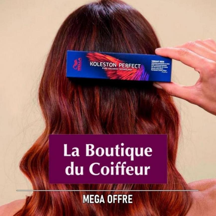 Mega offre. La Boutique du Coiffeur (2023-02-28-2023-02-28)