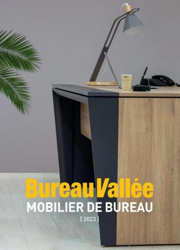 Mobilier du Bureau. Bureau Vallée (2023-03-31-2023-03-31)