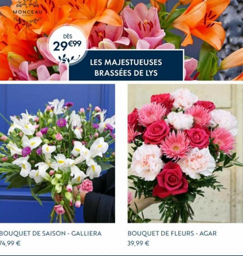 Offres Speciales. Monceau Fleurs (2023-05-22-2023-05-22)