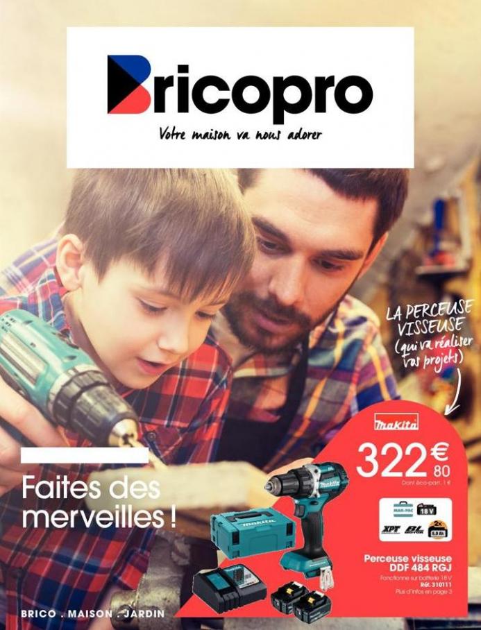 Catalogue Brico Pro. Brico Pro (2023-07-01-2023-07-01)