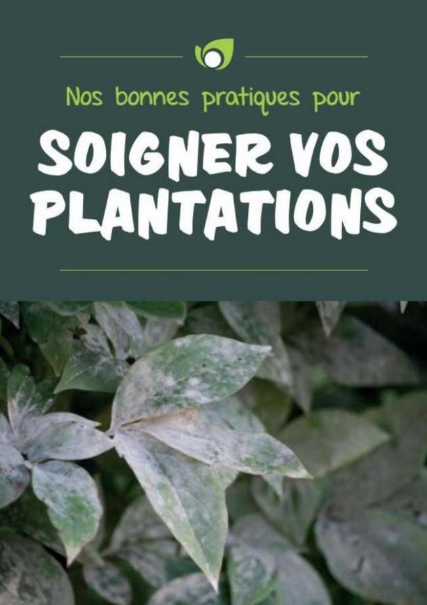 Point Vert Guide Soigner vos plantations. Point Vert (2023-07-31-2023-07-31)