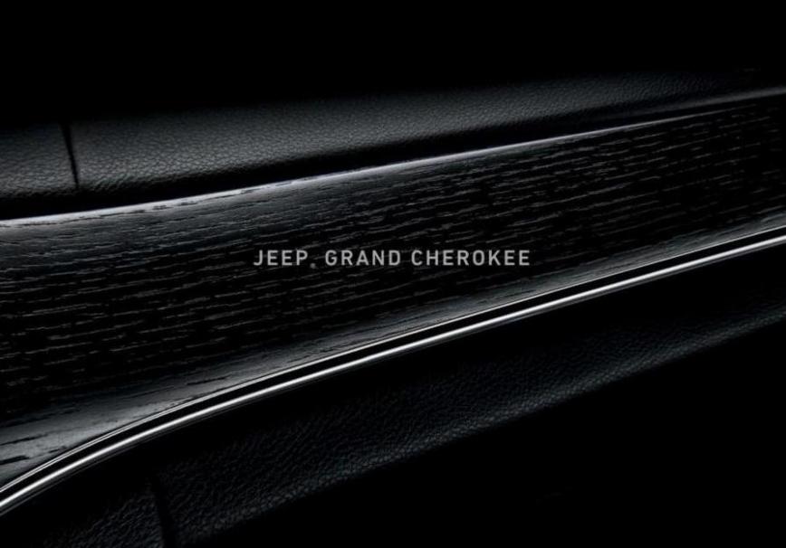 Jeep grand cherokee. Jeep (2024-02-12-2024-02-12)