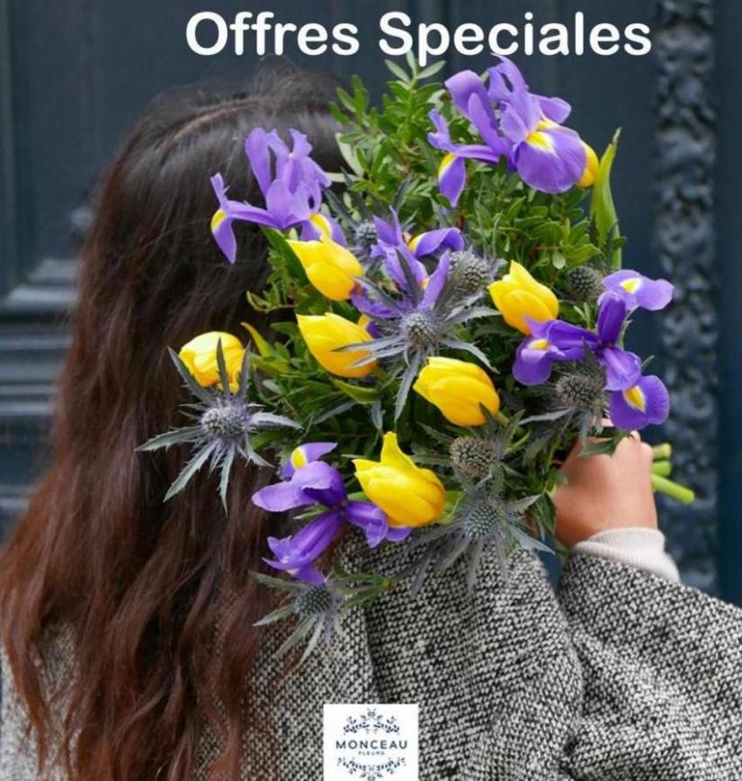 Offres Speciales Monceau Fleurs. Monceau Fleurs (2023-09-07-2023-09-07)