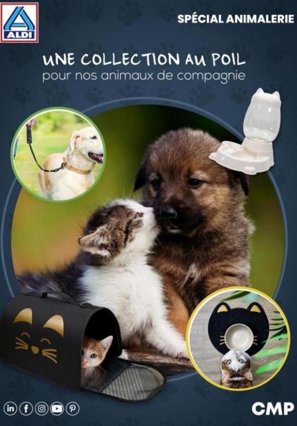Catalogue Animalerie ALDI. Aldi (2023-08-31-2023-08-31)