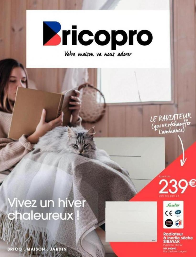 Catalogue Brico Pro. Brico Pro (2023-10-28-2023-10-28)