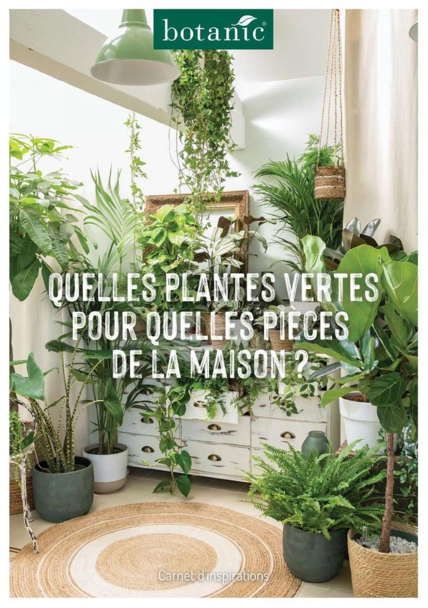 Quelles Plantes Vertes Por Quelles Pièces De La Maison?. Botanic (2023-10-14-2023-10-14)