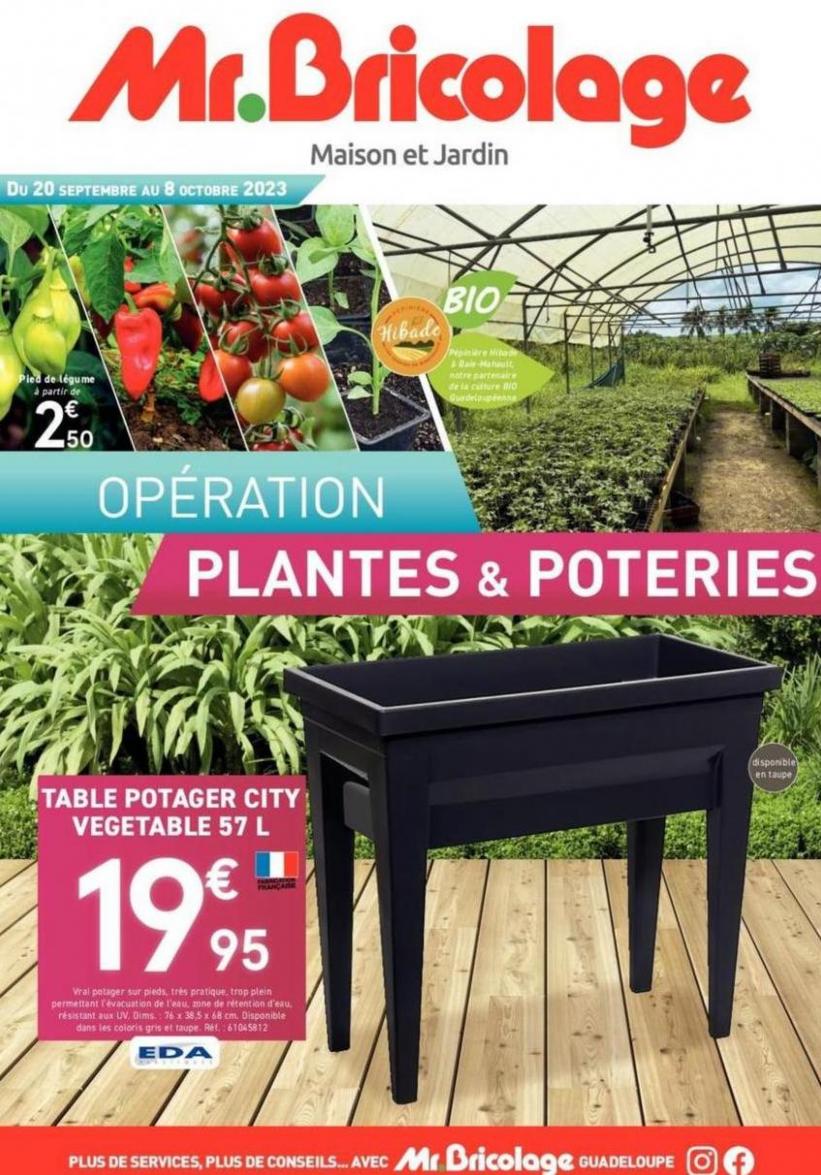 Opération Plantes & Poteries. Mr Bricolage (2023-10-08-2023-10-08)