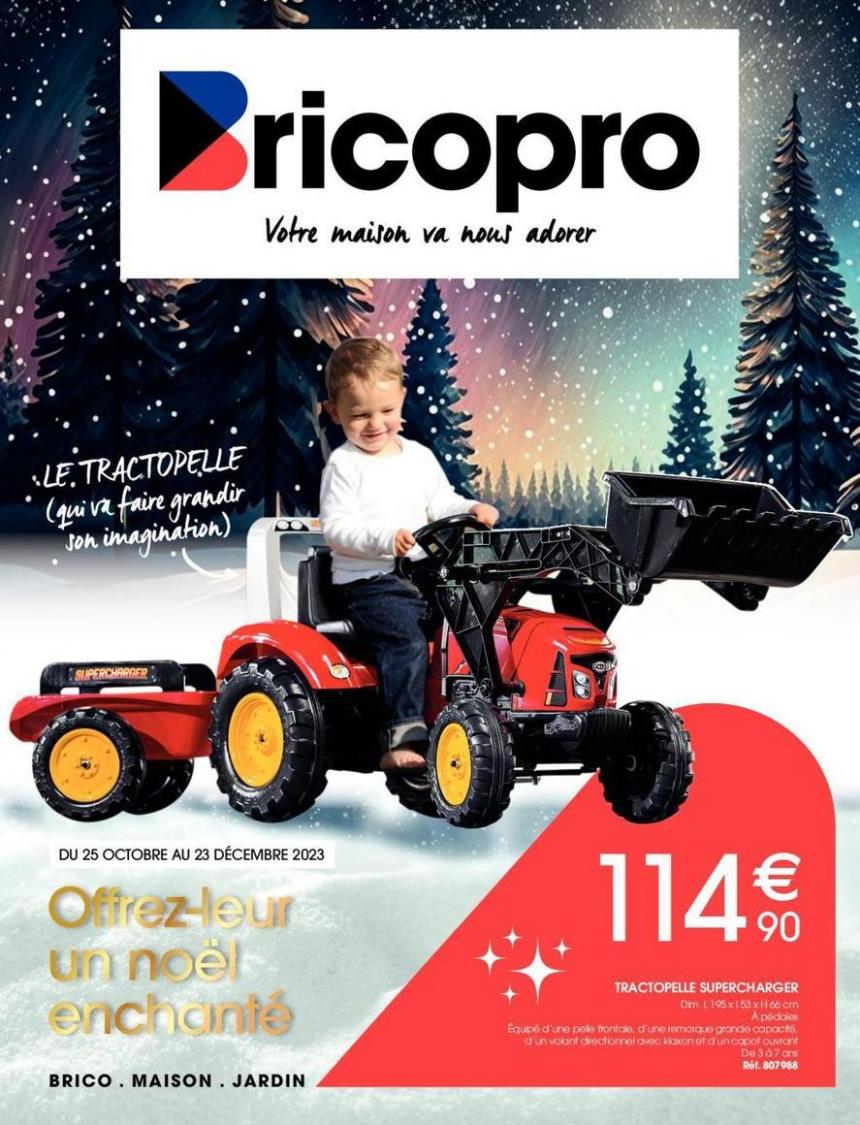 Catalogue Brico Pro. Brico Pro (2023-12-23-2023-12-23)