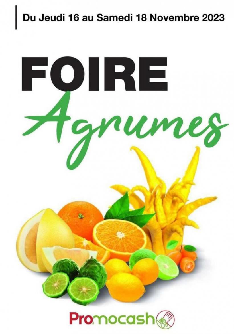 Foire Agrumes. Promocash (2023-11-18-2023-11-18)