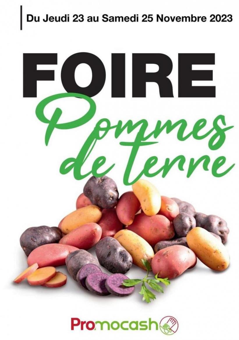Foire Pommes De Terre. Promocash (2023-11-25-2023-11-25)