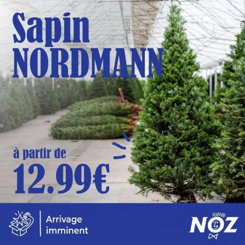 Sapin Nordmann. Noz (2023-11-24-2023-11-24)