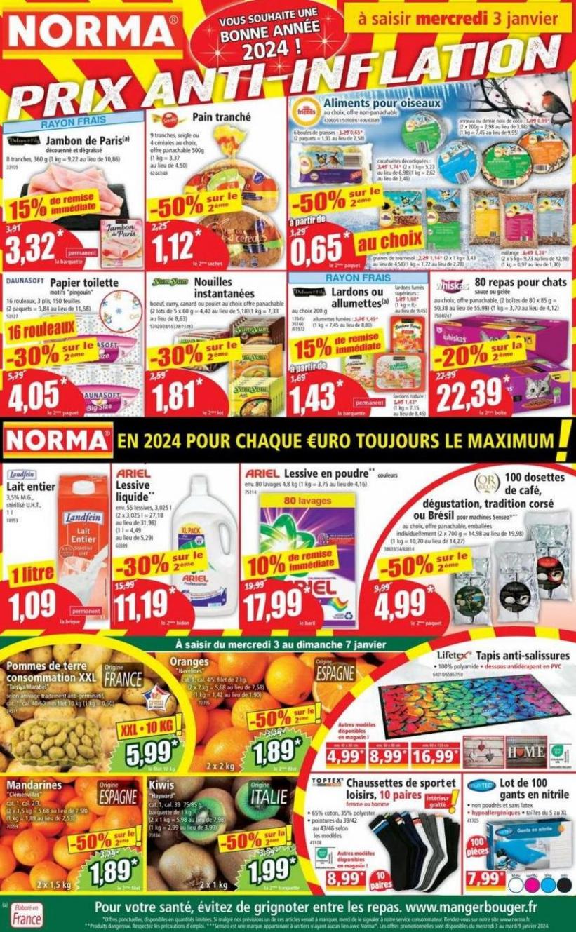 Catalogue Norma. Norma (2024-01-09-2024-01-09)