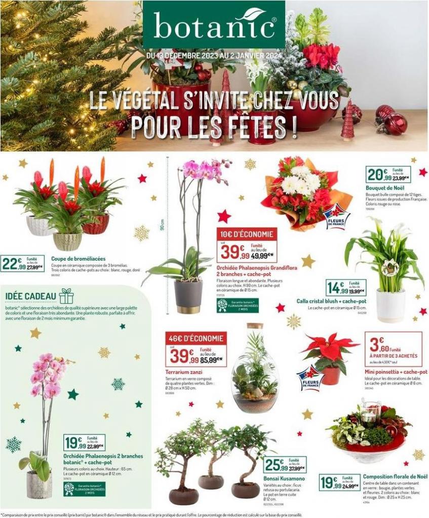 Le Végétal S’invite Chez Vous Pour Les Fêtes !. Botanic (2024-01-02-2024-01-02)