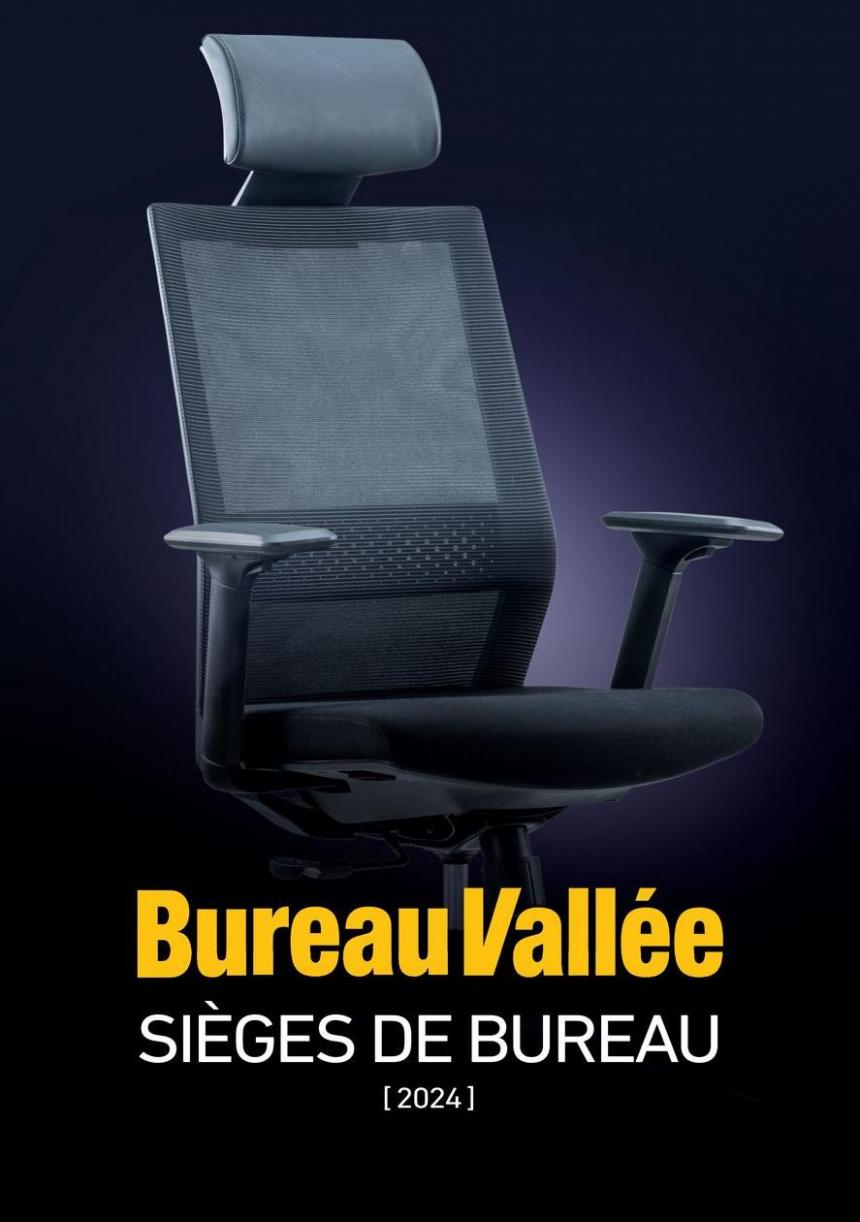 Sièges De Bureau. Bureau Vallée (2024-03-31-2024-03-31)