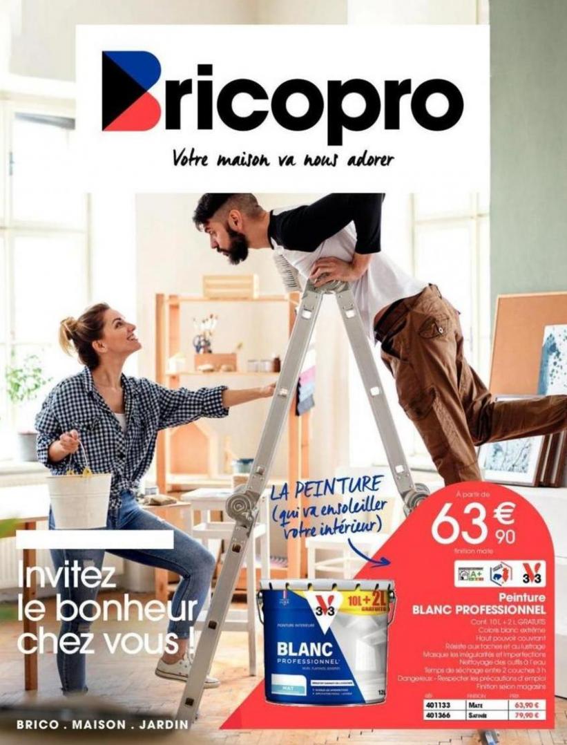 Catalogue Brico Pro. Brico Pro (2024-03-30-2024-03-30)