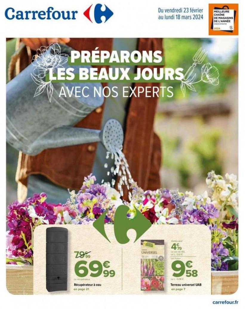 Préparons Les Beaux Jours Avec Nos Experts. Carrefour (2024-03-18-2024-03-18)