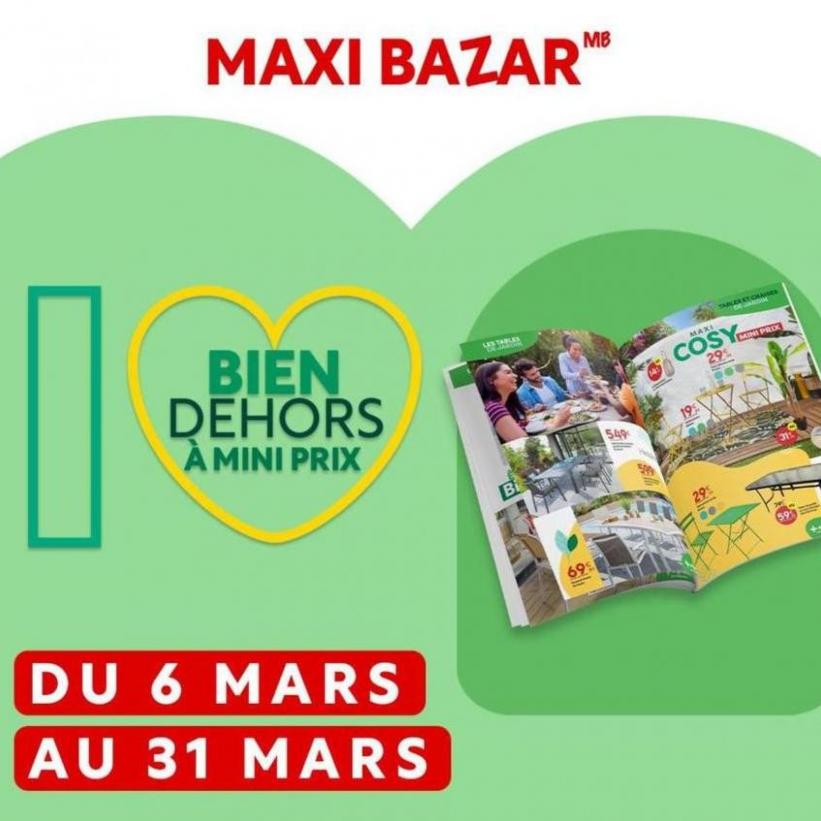 Profitez De Nos Promotions Pour Embellir Votre Jardin À Moindre Coût !. Maxi Bazar (2024-03-31-2024-03-31)
