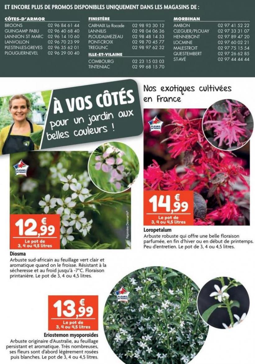 À Vos Côtés Pour Un Jardin Aux Belles Couleurs !. Point Vert (2024-03-31-2024-03-31)