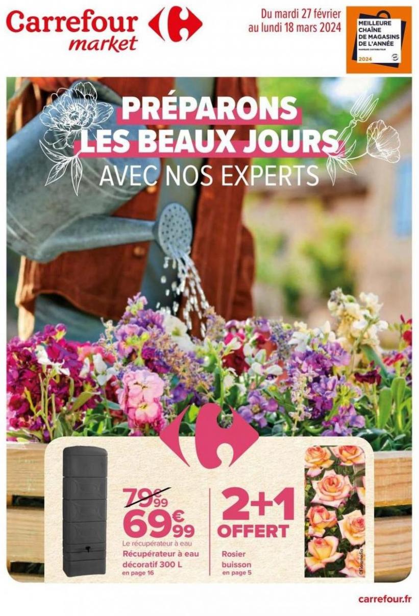 Préparons Les Beaux Jours Avec Nos Experts. Carrefour Market (2024-03-18-2024-03-18)
