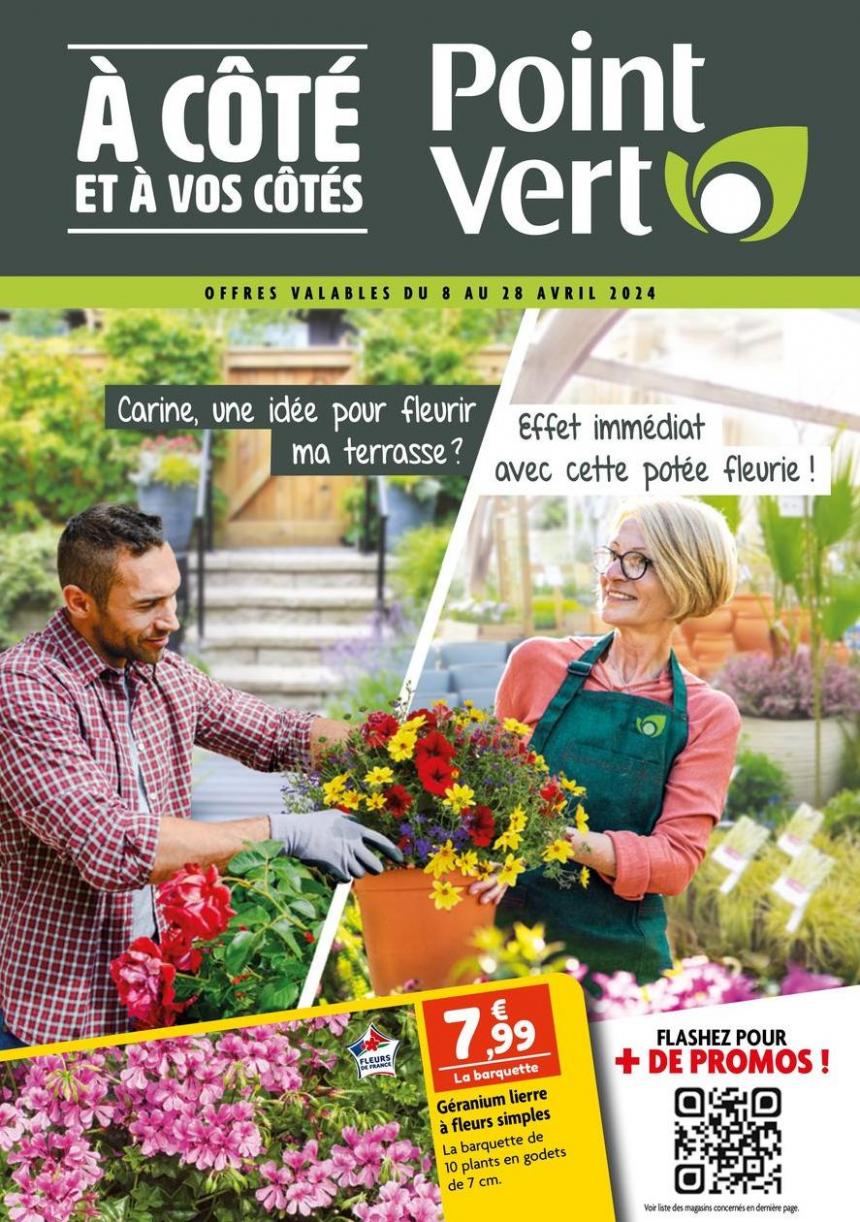 Carine, Une Idée Pour Fleurir Ma Terrasse ?. Point Vert (2024-04-28-2024-04-28)