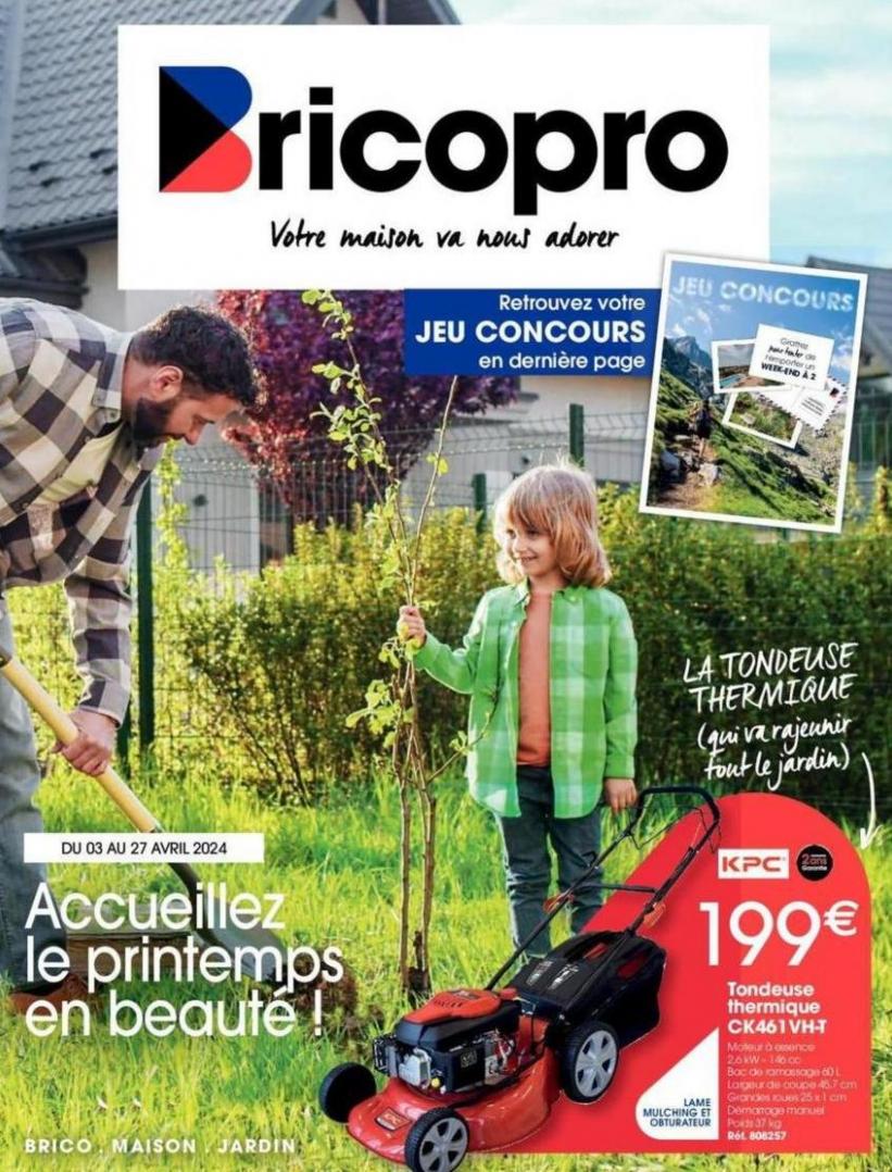 Accueillez Le Printemps En Beauté !. Brico Pro (2024-04-27-2024-04-27)