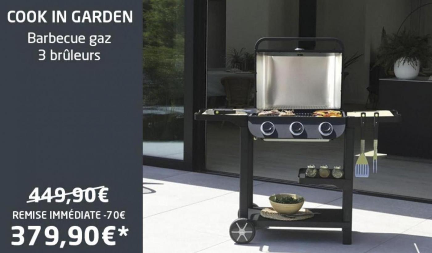 Cook In Garden. Blanc Brun (2024-04-30-2024-04-30)