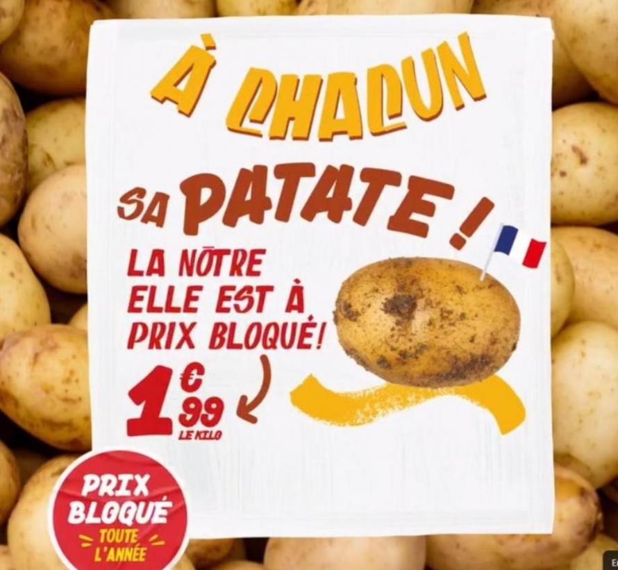 Des Patates, Des Patates, Des Patates !!!. Bio c'Bon (2024-04-23-2024-04-23)