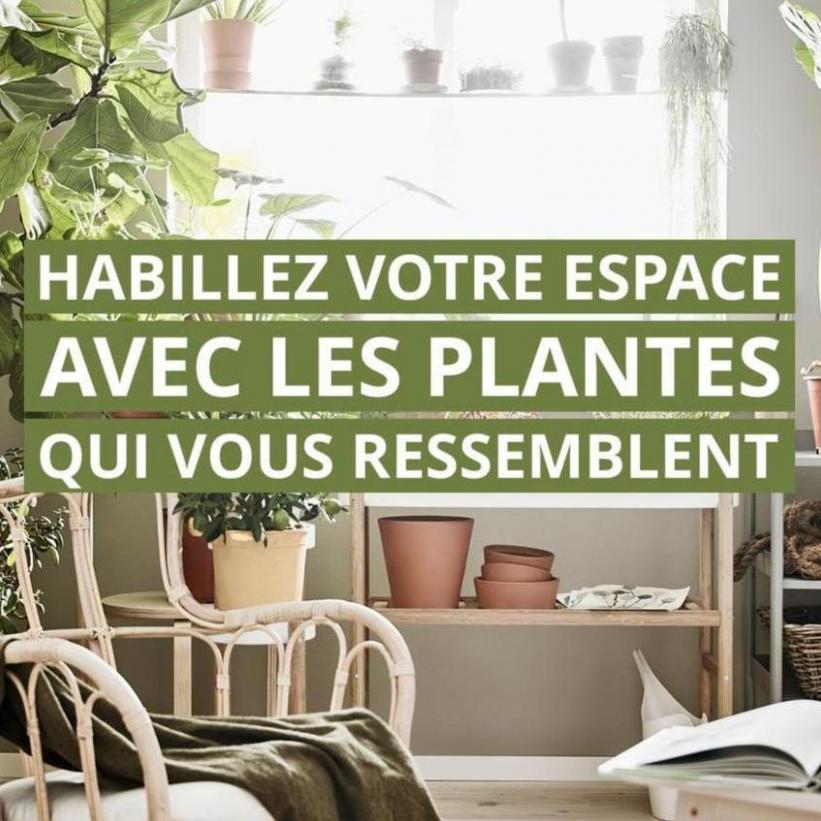 Découvrez Dès Maintenant Notre Sélection De Plantes À Prix Accessibles Et Mettez Du Vert Dans Votre Intérieur.. IKEA (2024-04-09-2024-04-09)