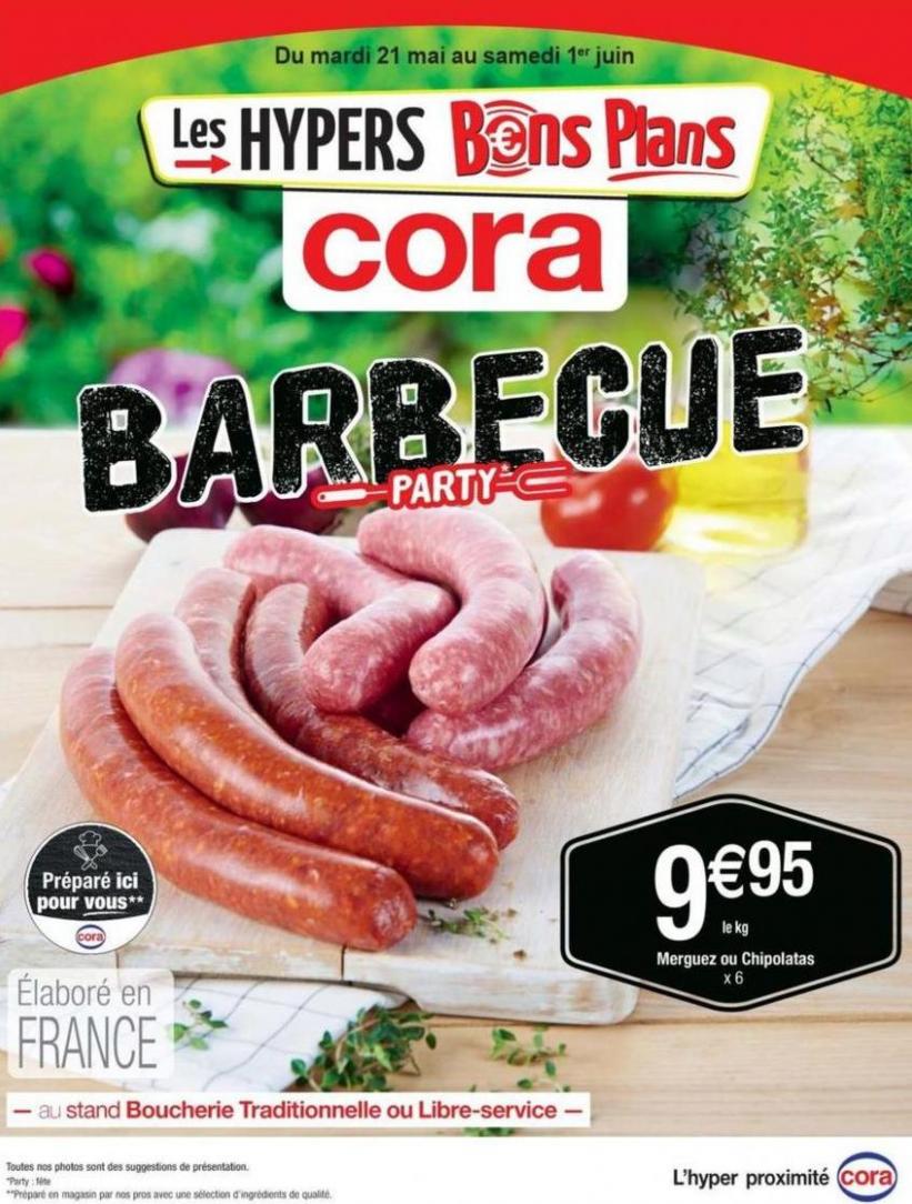 Barbecue Party. Cora (2024-06-01-2024-06-01)
