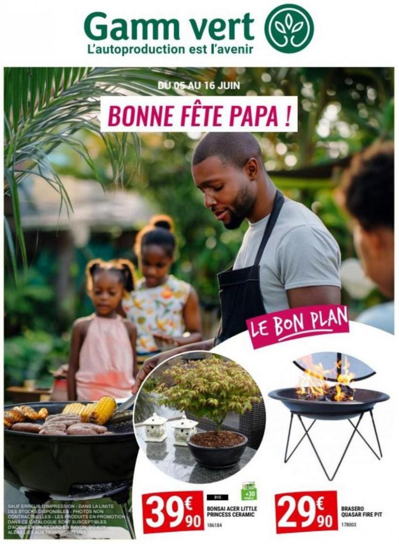 Bonne Fête Papa !. Gamm vert (2024-06-16-2024-06-16)