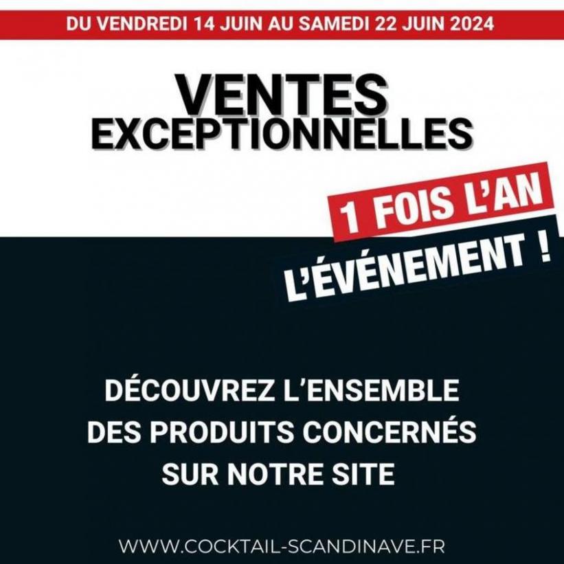 Ventes Exceptionnelles. Cocktail Scandinave (2024-06-22-2024-06-22)