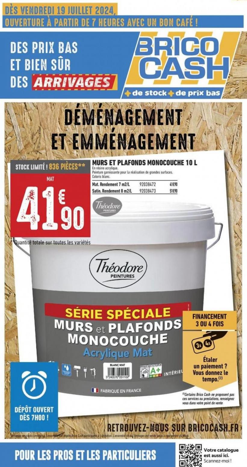 Thematique - Special Demenagement/Emmenagement. Brico Cash (2024-08-01-2024-08-01)